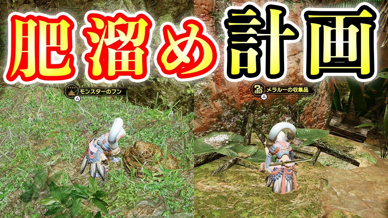 【MHRise】メラルーの巣にこやし玉とモンスターのフン100個を詰め込みたい【モンハンライズ実況】