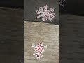 Daily kolam #dailykolams #love #dailyvlog