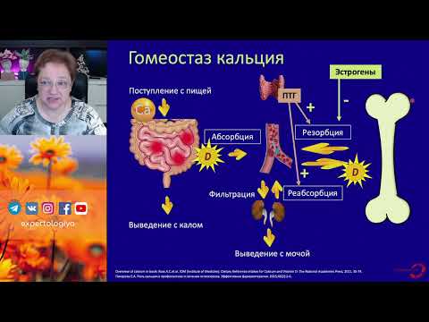 Кому и зачем принимать кальций во время беременности