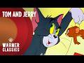 Tom And Jerry Mega Episode Compilation Vol 11 Warner Classics