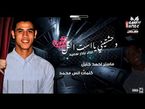 وحشتيني يا ست الكل فراق الام اداء نادر سعيد كلمات انس محمد ماستر احمد خليل 2020