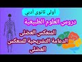 المنعكس العضلى و الدعامة التشريحية للمنعكس العضلى اولى ثانوى أدبي مراجعة شاملة للفرض الاول