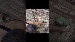 How To Stay Safe From Bears And War An Educational Survival Guide