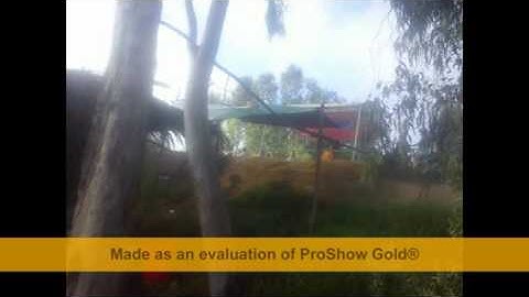 Dam tang anh vincente