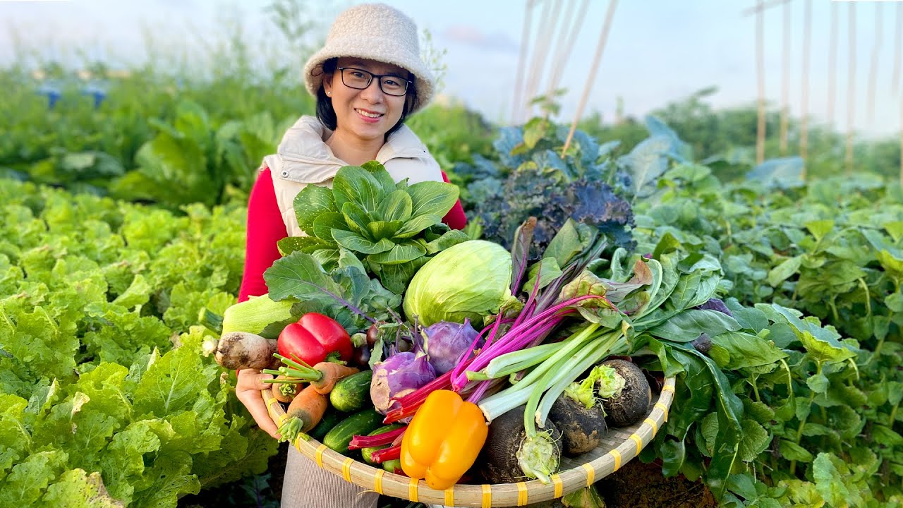 Harvest fresh fruits and vegetables for dinner, lots of fruits and