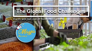 What will you be eating in 2050? food shortage