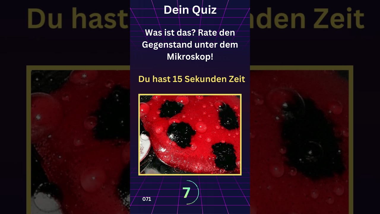 Kannst du diese Alltagsobjekte erkennen? 🔍   