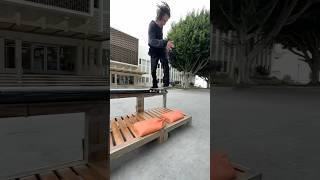 STEFAN JANOSKI ✨BACK TAIL