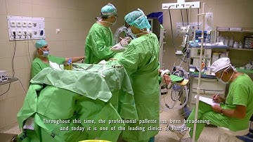 University of Szeged, Introduction