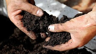 HOW TO TAKE SOIL SAMPLE // SOIL ANALYSIS // TAMPAKAN AGRICULTURE
