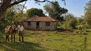 Esposa Gravida De 9 Meses V Tudo Da Janela Da Sua Casa Corre Mas  Tarde De Mais No Pode Evitar