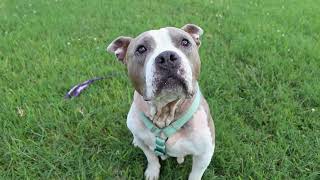 Meet Coachella! Beyond Rescue 2026 Starts Now!