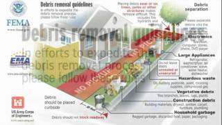 Debris Management Infographic (Animated)