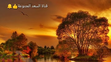 ما تيسر من سورة الكهف part 5