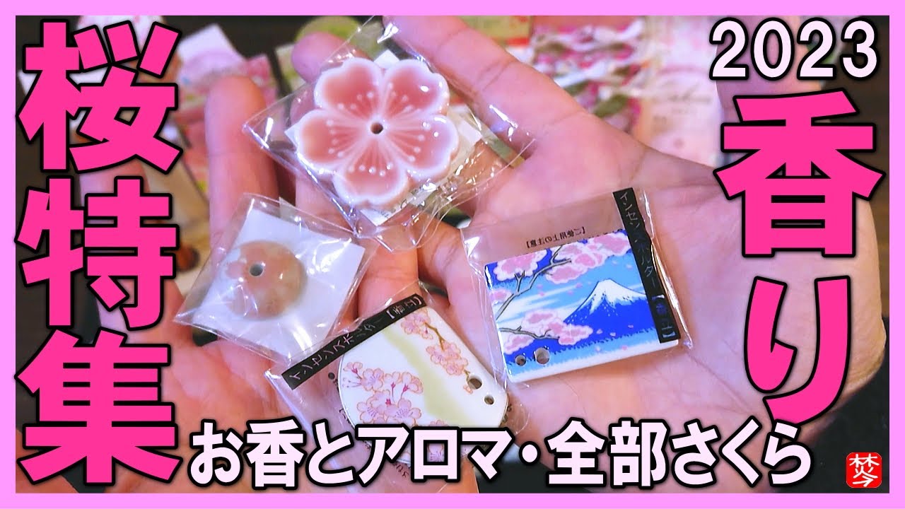 桜の香り2023保存版】金沢のソメイヨシノ標本木・さくらの開花宣言に