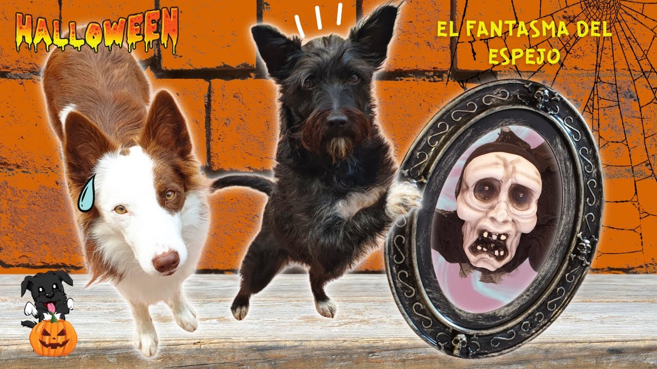 El FANTASMA del ESPEJO 👻 / Aliexpress 11.11 / Lana