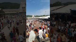 tirumala Tirupati Balaji Darshan Srinivasan Venkateswara Swamy #ttd #hindutemple #travel