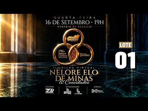LOTE 01   LWD 74