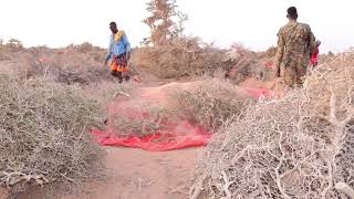 Ciidanka Xoogga Dalka Oo Gurmad Biyo-Dhaamin Ah Ka Wada Deegaanno Hoostaga Degmada Xarardheere.