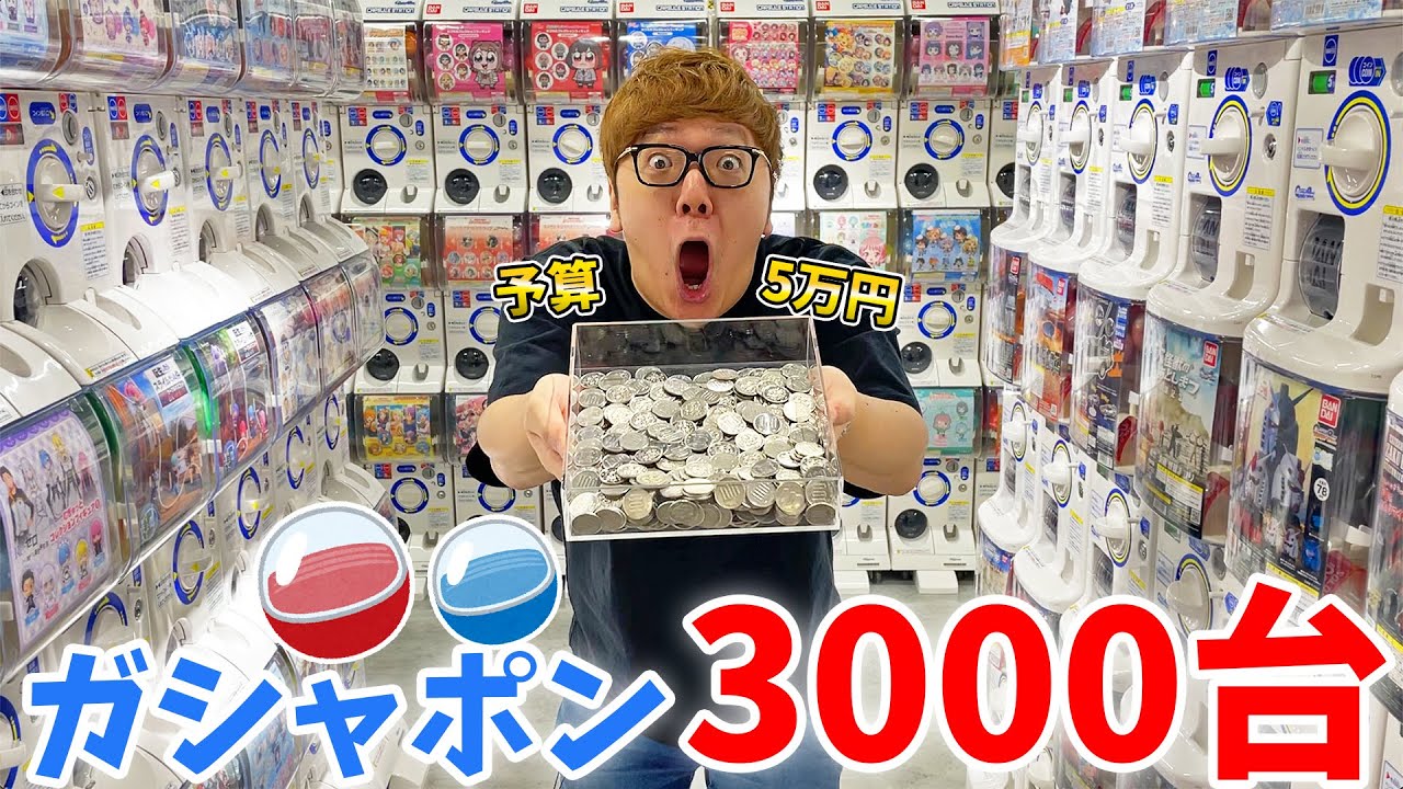 HIKAKINコラボセット　纏め売り HIKAKINコラボセット 纏め売り HIKAKIN & SEIKIN 商品一覧 - Creator Store