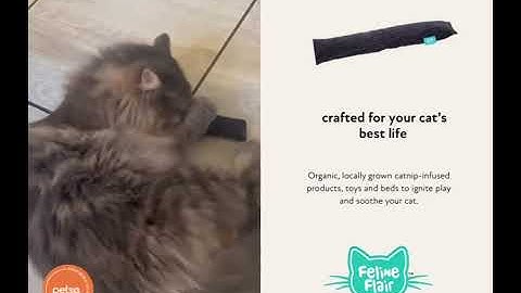 Feline Flair Catnip infused Cat Toys 