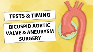 Bicuspid Aortic Valve Aortic Aneurysm Surgery Tests Timing