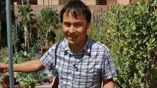 Джон Колер, веган-сыроед 23 года. Мужчина без возраста питается сырой зеленью со своего двора.