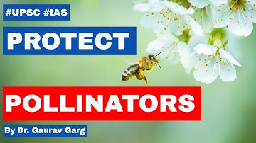 Global coalition to protect pollinators - Why decline in Pollinators is dangerous? #UPSC #IAS