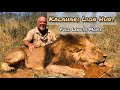 FULL LENGTH 2020 Safari: Hunting Lion with Lew Harris Safaris, just before the corona virus hits