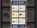 6+ Cat Loafing Positions Meanings You Must Know! #petcare #cat #petcareprovider #catfacts #usashorts