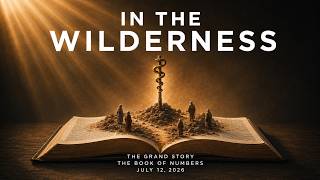 'In The Wilderness' - 7/12/2026 'In The Wilderness' - 7/12/2026