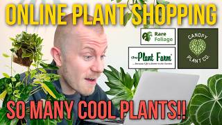 Where To Buy Rare Plants Online | Houseplant Shopping Spring 2026