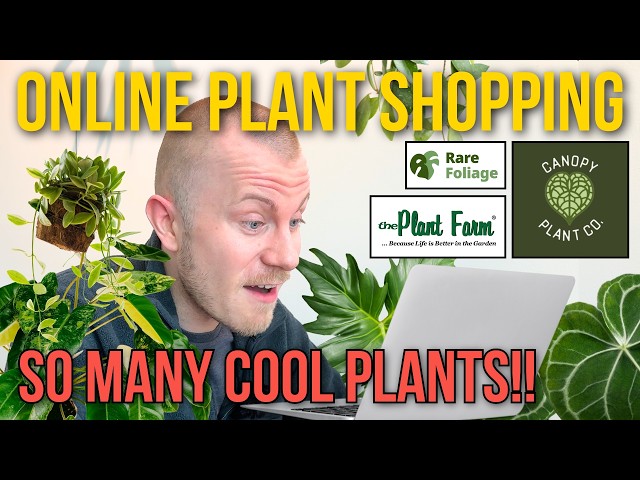 Where To Buy Rare Plants Online | Houseplant Shopping Spring 2026 - YouTube