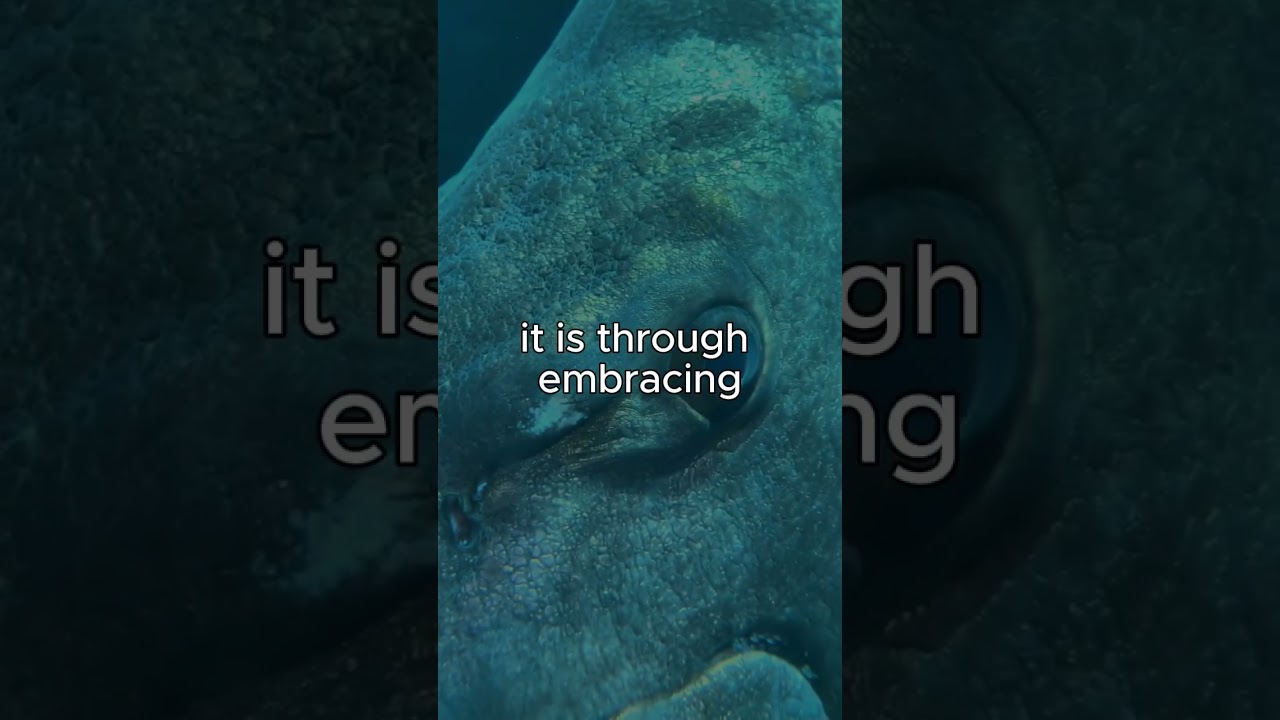 Those who dare to fail are the ones who achieve remarkable success   