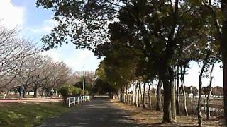 2012-02-18_12.18.57_00002.mp4