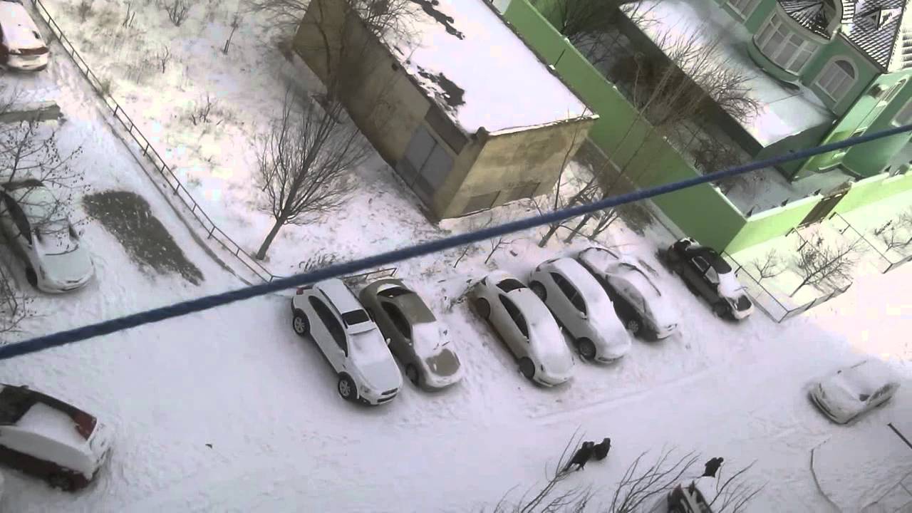 Лексус центр махачкала
