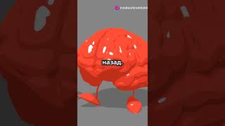 Как работает память  🧠 Узнай за 60 секунд