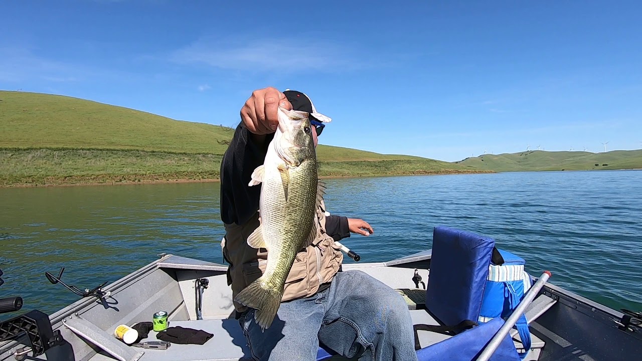 Fishing Stripers Trout Largemouth Los Vaqueros Reservoir Wild Striped Bass California Lakes - YouTube