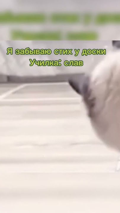 СлАвНыЙ гОрОд КоСтРоМа//Мем - YouTube