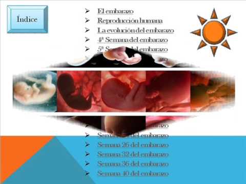 presentación de power point el embarazo en movie maker diapositivas para power point