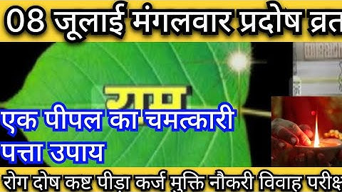 8 जूलाई 🙏🌺🔱मंगलवार प्रदोष व्रत को 1 पीपल के पत्ते पर राम वाला उपाय 😱🧿 pradeep mishra ji upay