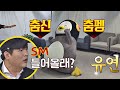 ↖춤신춤펭↗ 펭수의(Pengsoo) 댄스를 본 신동(Shindong)， SM 캐스팅 제안?! 아는 형님(Knowing bros) 206회