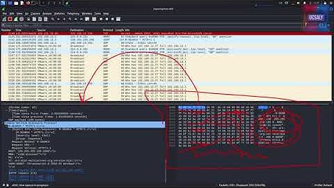 Wireshark 101: Mastering Captured Data Visualization and Plugins