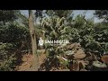 FINCA SAN MIGUEL🇬🇹