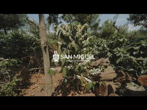 FINCA SAN MIGUEL🇬🇹