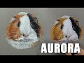 Aurora  animal portrait
