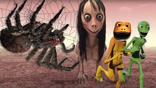 Dame Tu Cosita vs Patila Missed the Stranger (Compilation #1) SPIDER MOMO Attack