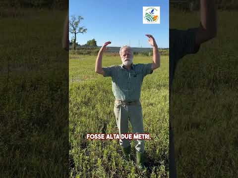 Video Sicurezza idraulica e biodiversità: un equilibrio possibile