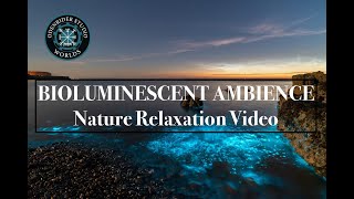 Soft Bioluminescent Ocean Waves | Relaxing Evening Beach Ambience & Soundscape | Breathtaking Sunset screenshot 2