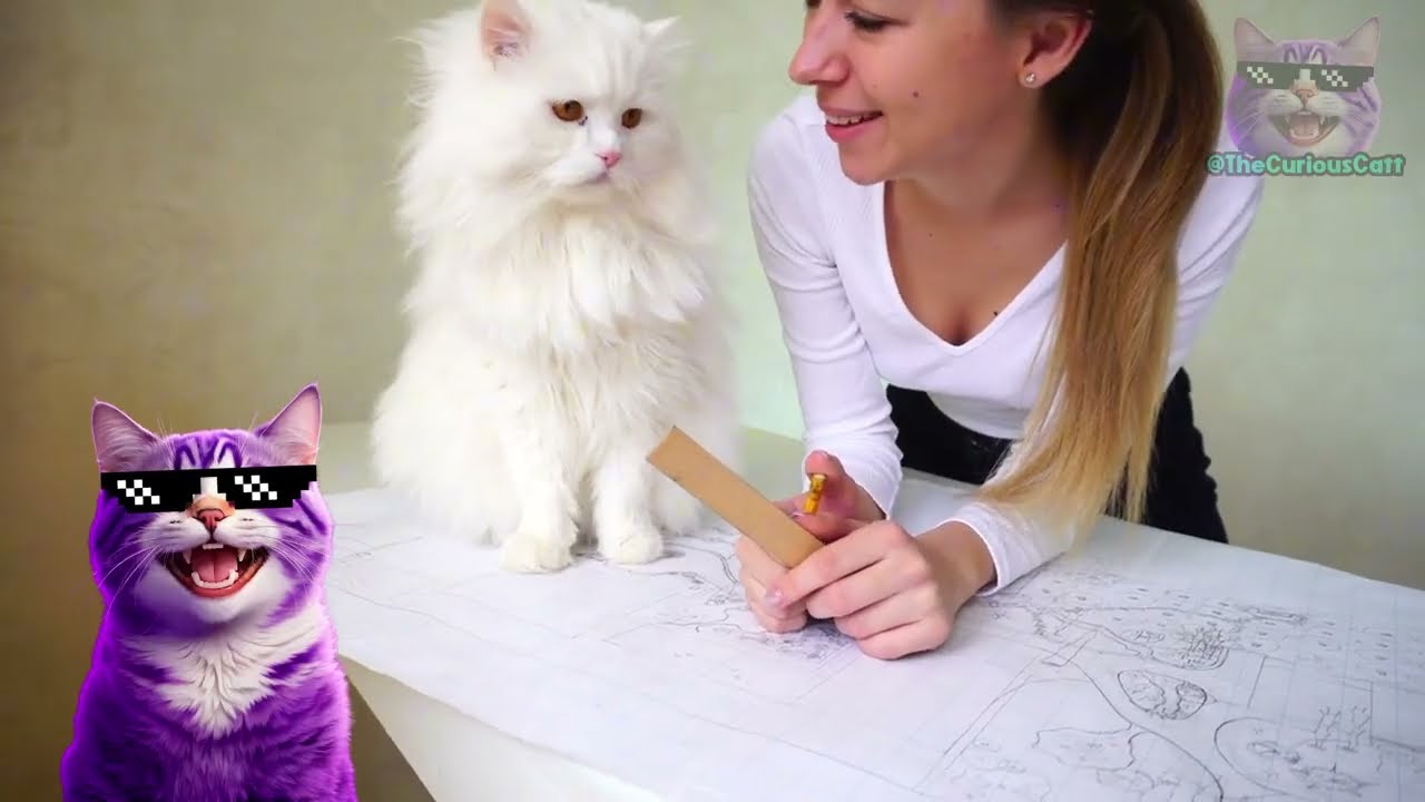 YouTube video image 2